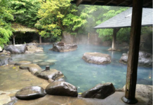 Geothermal Energy: Transforming Geological Resources into Investment Assets