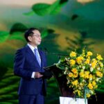 Unveiling the International Tea Festival: Celebrating a Legacy of Record-Breaking Achievements