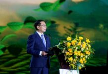 Unveiling the International Tea Festival: Celebrating a Legacy of Record-Breaking Achievements