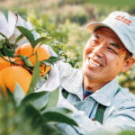 Nongfu Spring’s Iconic 17.5° Orange Juice Set to Launch in Vietnam