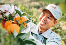 Nongfu Spring’s Iconic 17.5° Orange Juice Set to Launch in Vietnam