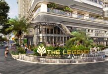 What Makes Vipico’s Dragon Bridgefront Project Stand Out?