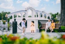 T&T City Millennia Unveils New District, Fueling Year-End Market Momentum