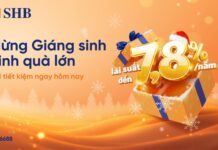 Financial Prudence Era: Vietnamese Prioritize Safety Amidst Market Volatility