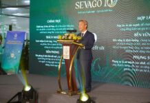 Sevago Unveils New Brand Identity, Transforming for Greater Ambitions