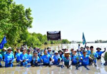 UOB Vietnam Launches 10,000-Tree Planting Initiative at Western Sea Protective Forest to Combat Climate Change