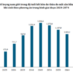 In Less Than 5 Years, Over 3 Out of Every 100 Vietnamese Men Born Between 1990-2009 Will Remain Unmarried