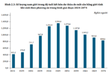 In Less Than 5 Years, Over 3 Out of Every 100 Vietnamese Men Born Between 1990-2009 Will Remain Unmarried