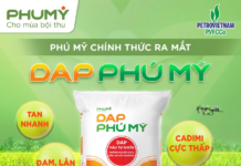 DPM Officially Launches DAP Phú Mỹ