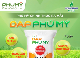 DPM Officially Launches DAP Phú Mỹ