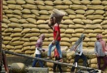 India’s Rice Export Revival Shocks Market: Vietnam, Thailand on Alert as Unprecedented Low Prices Resurface