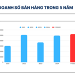 Unprecedented Milestone Achieved by VinFast, Toyota, Hyundai, and More
