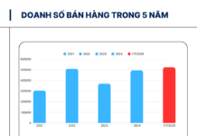 Unprecedented Milestone Achieved by VinFast, Toyota, Hyundai, and More
