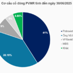 PetroVietnam Relists PVMR Stake for Auction Following November’s Failed Attempt