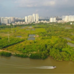 Exclusive: Quốc Cường Gia Lai Seeks Asset Sale to Settle Debt Linked to Trương Mỹ Lan