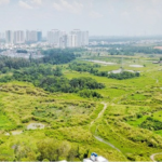 Latest Updates on Quoc Cuong Gia Lai and Novaland