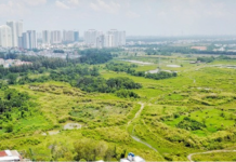 Latest Updates on Quoc Cuong Gia Lai and Novaland