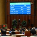 Da Nang Granted Special Free Trade Zone Mechanisms to Boost TOD Development