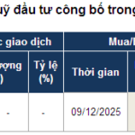 Powerful Individual Buying Drives Investment Fund Transactions
