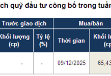 Powerful Individual Buying Drives Investment Fund Transactions