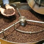 US Move Creates Golden Opportunity for Vietnam’s Billion-Dollar Nut Industry to Accelerate Market Share Dominance