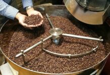 US Move Creates Golden Opportunity for Vietnam’s Billion-Dollar Nut Industry to Accelerate Market Share Dominance