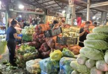 Wholesale Market Prices for Vegetables and Fruits Begin to Drop