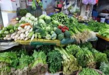 Fresh Vegetable Prices Cool Down