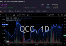 Mountain Tycoon’s Turmoil: Ending the Trillion-Dong Debt Saga with Truong My Lan