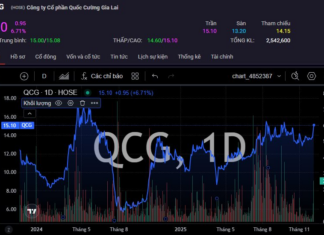 Mountain Tycoon’s Turmoil: Ending the Trillion-Dong Debt Saga with Truong My Lan