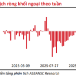 Should Investors ‘Buy the Dip’ After the VN-Index Turmoil?