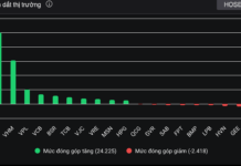 Stock Market Rebounds to 1,700 Points, DGC Sees Surge in Investment