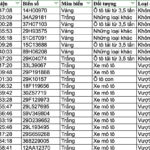 159 Vehicle Owners Swiftly Settle Traffic Violation Fines Under Decree 168