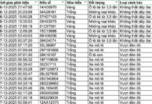 159 Vehicle Owners Swiftly Settle Traffic Violation Fines Under Decree 168
