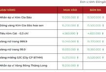 Year-End Gold Rush: SJC Gold and Ring Prices Surge by 500,000 VND per Tael Since Last Week