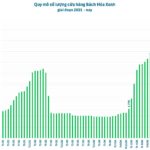 Vietnamese Tycoon Opens 3 Supermarkets Daily for Over a Month, Showing No Signs of Slowing Down