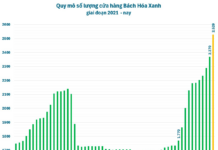 Vietnamese Tycoon Opens 3 Supermarkets Daily for Over a Month, Showing No Signs of Slowing Down