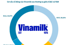 F&N Group Set to Increase Stake in Vinamilk to Nearly 25%