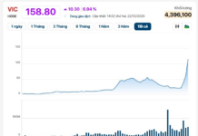 Billionaire Pham Nhat Vuong’s Stock Surges to Daily Limit