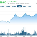 Viconship to Acquire Additional 14 Million HAH Shares, Boosting Ownership Above 21%