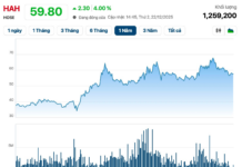 Viconship to Acquire Additional 14 Million HAH Shares, Boosting Ownership Above 21%