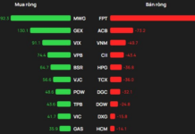 Foreign Block’s Near 500 Billion VND Net Buy Fuels VN-Index’s Strongest Asian Rally: Which Stocks Were Most Scooped Up?