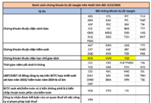 HOSE Announces 66 Stocks Suspended from Margin Trading in December
