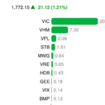 VIN-Index Propels VN-Index to New Heights