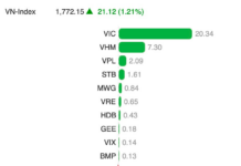 VIN-Index Propels VN-Index to New Heights