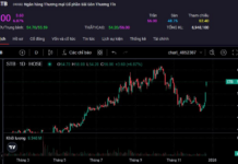 Pyn Elite Fund Exits Sacombank Major Shareholder Status Just Before Stock Surges to Upper Limit for Two Sessions