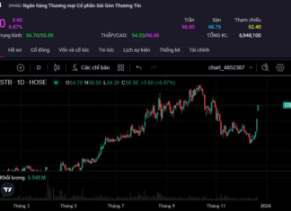 Pyn Elite Fund Exits Sacombank Major Shareholder Status Just Before Stock Surges to Upper Limit for Two Sessions