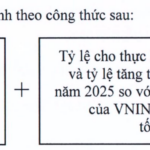 Vingroup Propels VN-Index Surge: Will MWG Executives Face Challenges in Securing Substantial ESOPs?