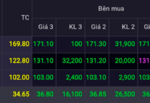 Vietnamese Stock Market Surpasses 1,800 Points for the First Time in History