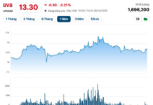 Nguyễn Thanh Phượng Steps Down from BVBank’s Board of Directors for a Unique Reason